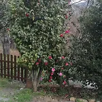 Casa de Férias Tra Il Mare E I Monti *