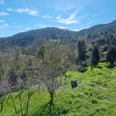 Tra Il Mare E I Monti * San Remo